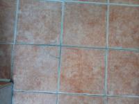 20251130_140946 (768x1024).jpg